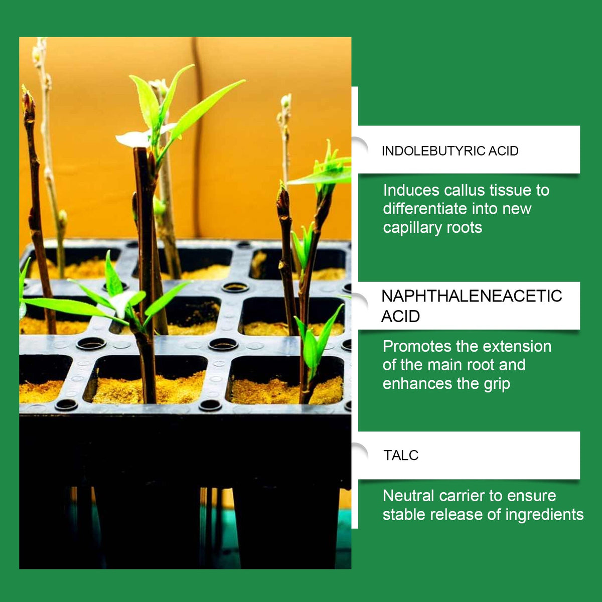 🎁Last Day 49% OFF Promotion🔥Nuticos Rooting Powder – Rooting Hormone for Plant Cuttings & Strong Roots, Ultra Concentrated