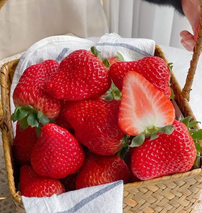 🍓Strawberry Seeds for All-Year Growing