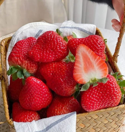 🍓Strawberry Seeds for All-Year Growing