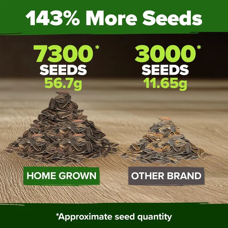 🔥Last Day 70% OFF🔥Zinnia Seeds – Pure, No Filler – Heirloom Flower Seeds