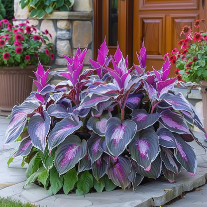 🌟Spring & Winter Growing🍃Premium Rare Hosta Seeds🌿Ideal for Cut Flowers【98% Germination Rate】