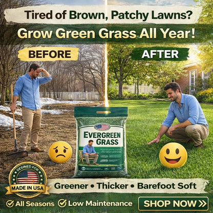 🌱 2026 Next-Gen Lawn Seed for Greener, Stronger Grass
