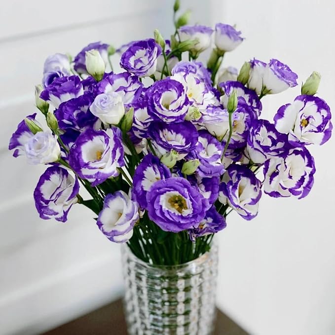 🌼Lisianthus Seeds – Perennial & Long-Flowering