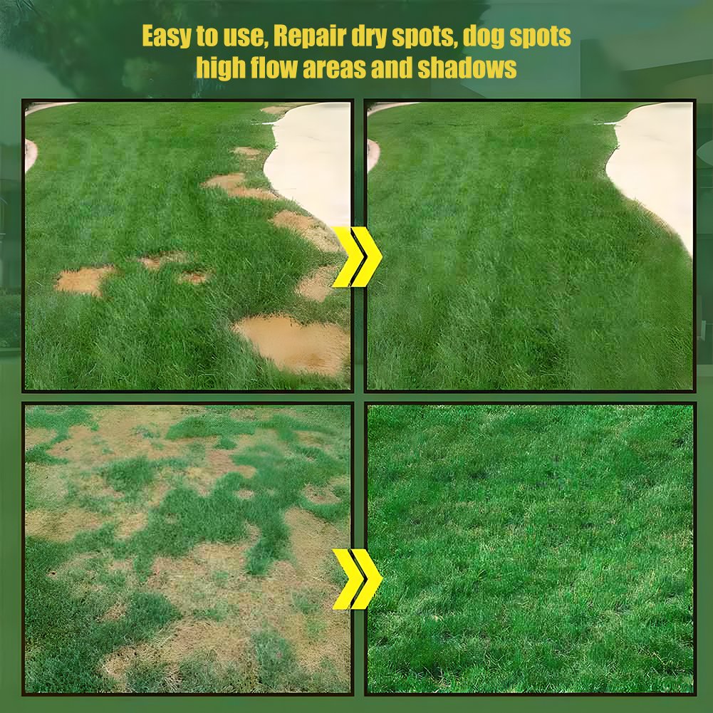 🌱 Evergreen Dwarf Grass for Four Seasons🌾 | Build Your Ideal Lawn Here🌼