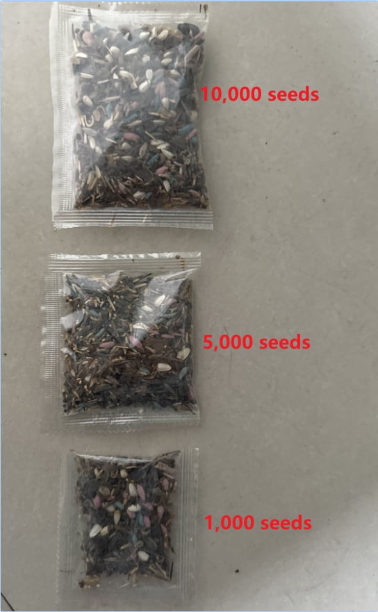 💝Mixed Perennial Flower Seeds – 30 to 60 Varieties