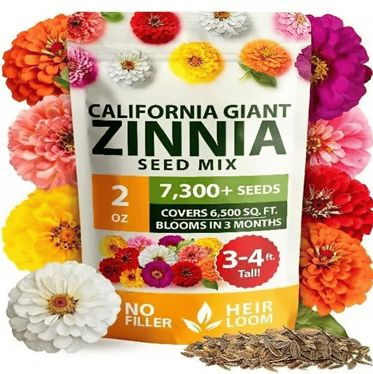 🔥Last Day 70% OFF🔥Zinnia Seeds – Pure, No Filler – Heirloom Flower Seeds