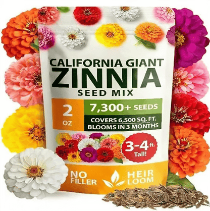 🔥Last Day 70% OFF🔥Zinnia Seeds – Pure, No Filler – Heirloom Flower Seeds