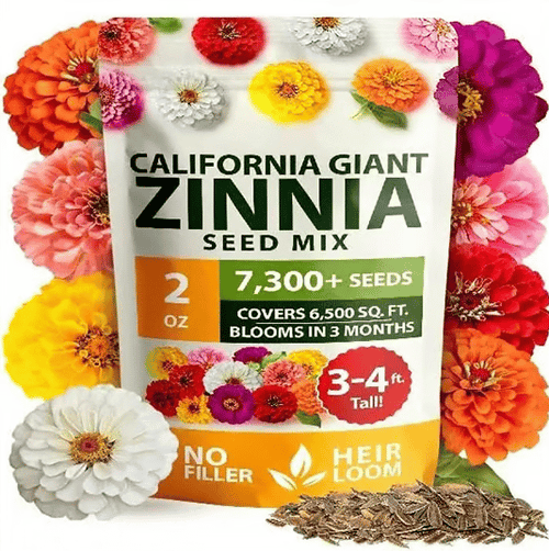 🔥Last Day 70% OFF🔥Zinnia Seeds – Pure, No Filler – Heirloom Flower Seeds
