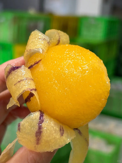 🔥New Arrival – Ginseng Berry Seeds