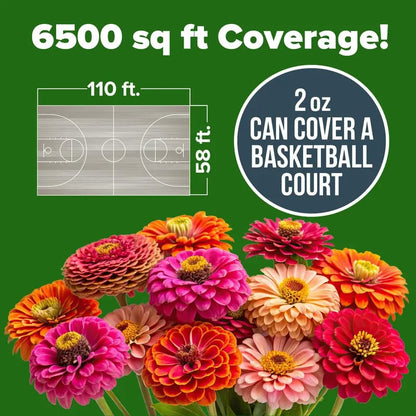 🔥Last Day 70% OFF🔥Zinnia Seeds – Pure, No Filler – Heirloom Flower Seeds