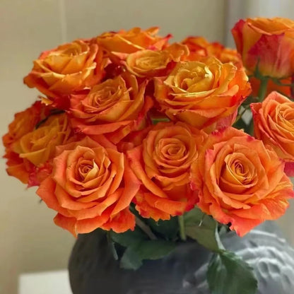 Rose Seeds – 'Ode to Joy' Variety