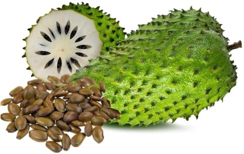 🏆Flash Sale⚡Almost Gone-💥🌸 Organic Soursop (Graviola) – Non-GMO Heirloom Tropical Fruit Variety