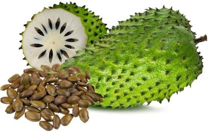 🏆Flash Sale⚡Almost Gone-💥🌸 Organic Soursop (Graviola) – Non-GMO Heirloom Tropical Fruit Variety