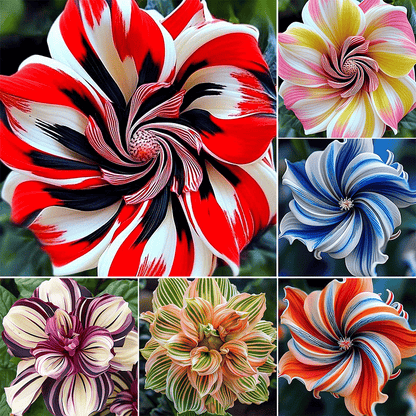 🏆Flash Sale⚡50K+ SOLD!🔥 Rare Double Hibiscus Seeds🌺(✈️ Global 24-Hour Express Shipping ✈️)