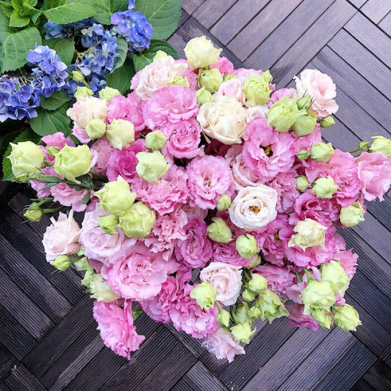 🌼Lisianthus Seeds – Perennial & Long-Flowering