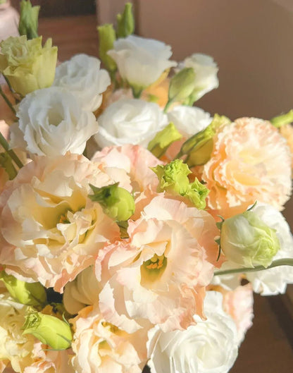 💐Lisianthus – Everlasting Love, Timeless Beauty💫