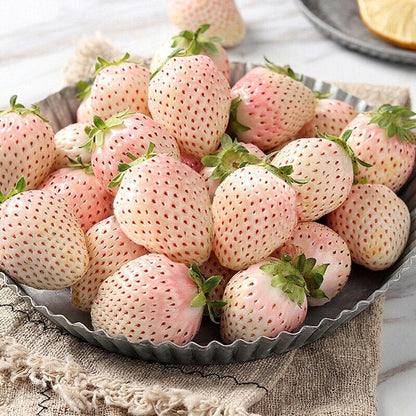 White Cream Strawberry Seeds – Unique, Sweet & Easy to Grow at Home